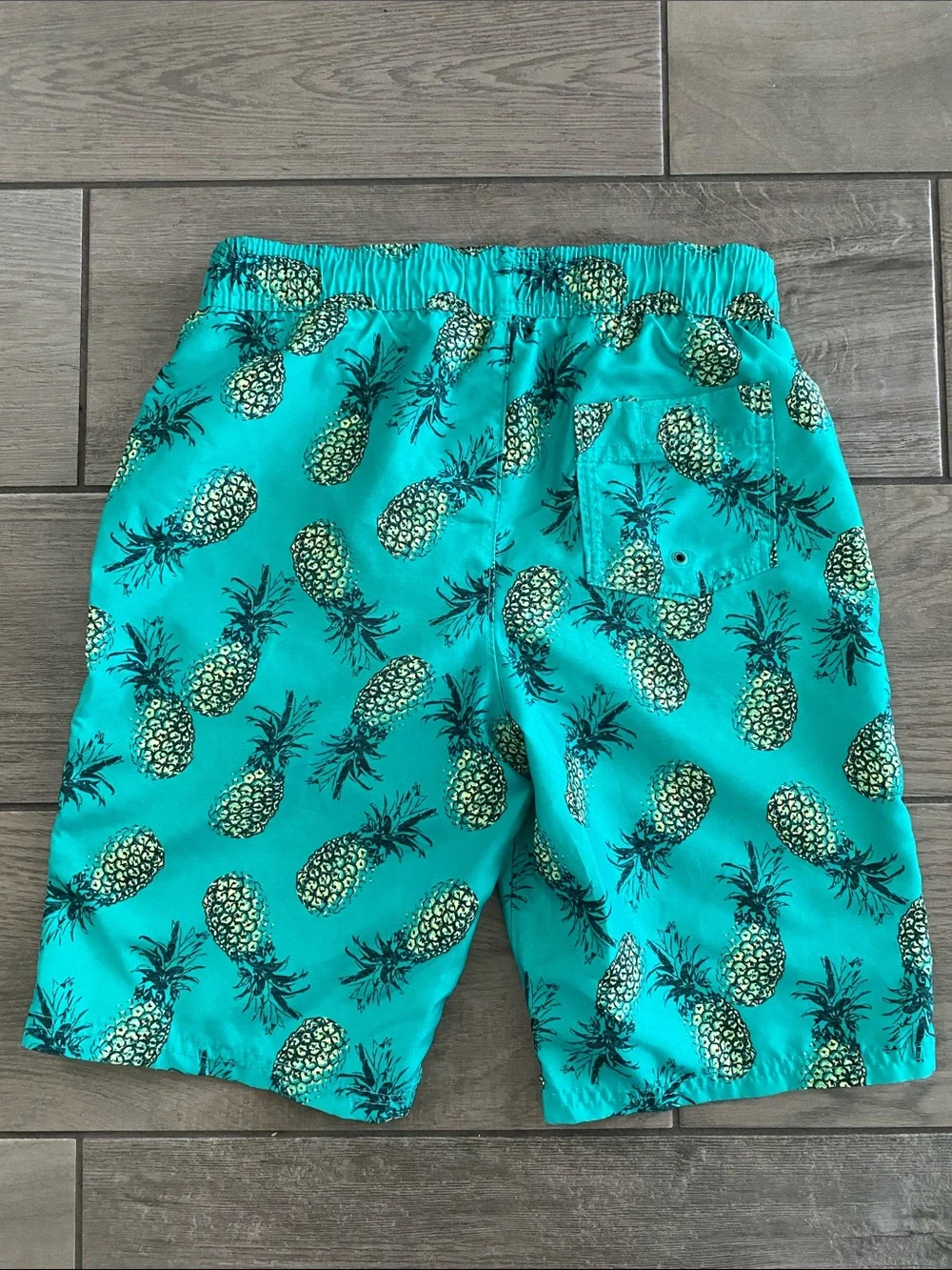 Abercrombie Kids Boys Swim Trucks - Teal with Pineapples